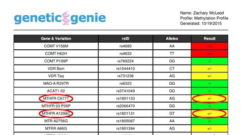 Genetic genie - Genetic Genie is a free website for uploading your DNA raw data for methylation and detox reports. They currently offer two reports and accept DNA raw data only from 23andMe (upto the v4 chip ...